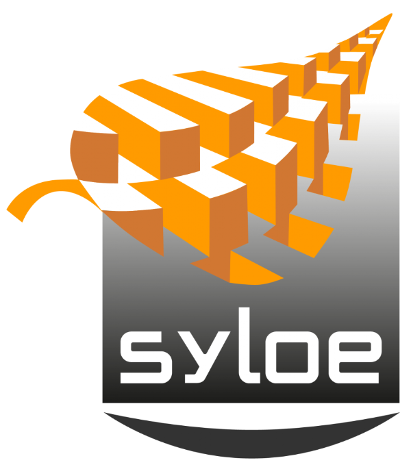 Syloé — Expert DevOps & Cloud Native, Platform Engineering France